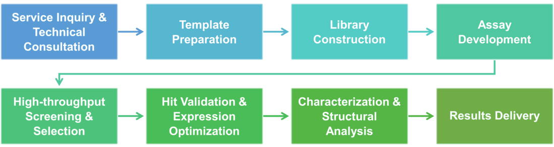 Service-Workflow für Enzym-Engineering durch zufällige Mutagenese und DNA-Shuffling