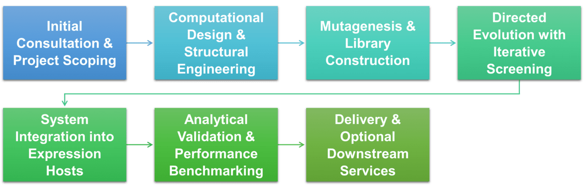 Service workflow for orthogonal tRNA/aaRS pairs engineering