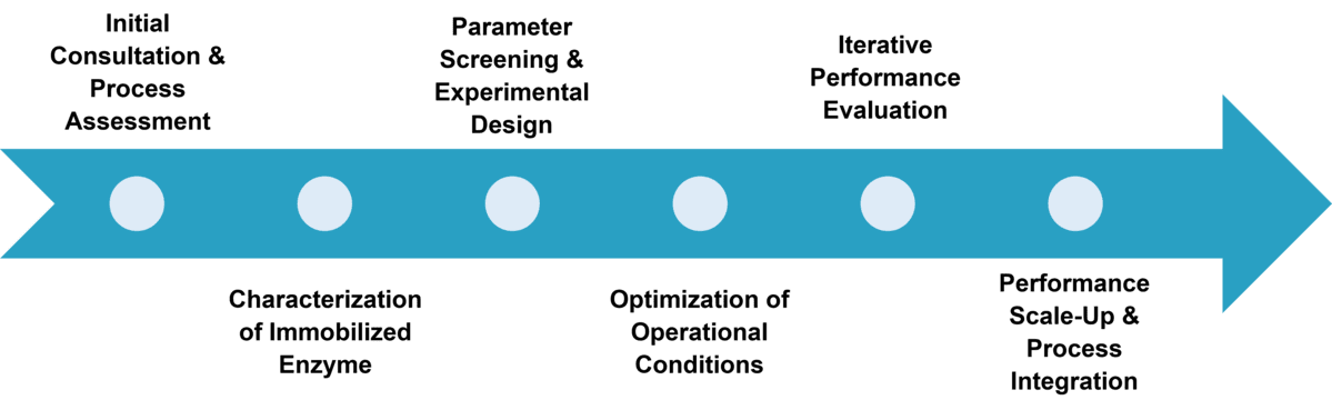 Service workflow for enzyme immobilization process optimization