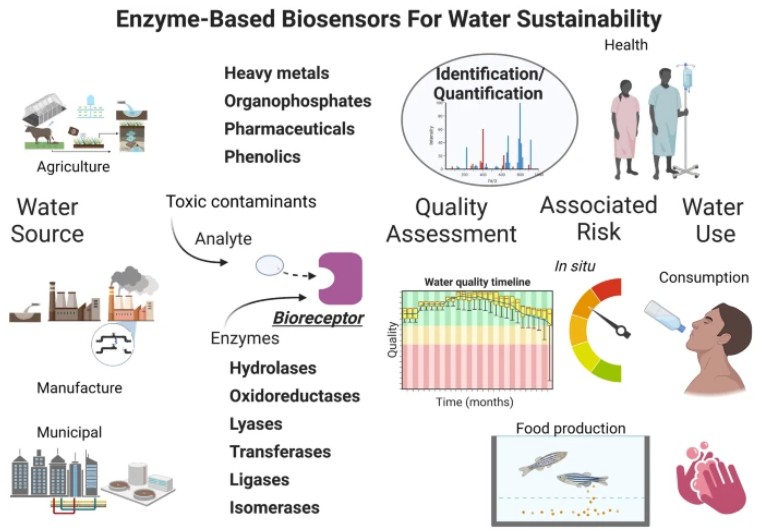 Immobilized enzyme-based novel biosensing system for recognition of toxic elements in the aqueous environment