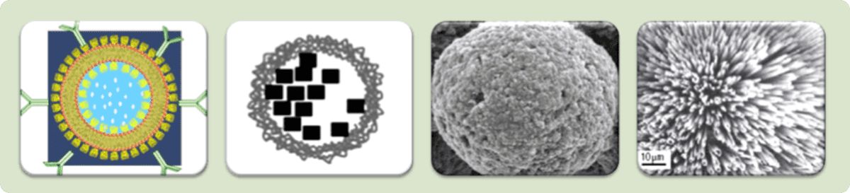 Verschiedene Methoden der Enzymverkapselung: liposomale Vesikel, Polymere und Polyelektrolyte, Sol-Gel- und Hydrogel-Matrizes sowie Peptid- und Lipid-Nanoröhren