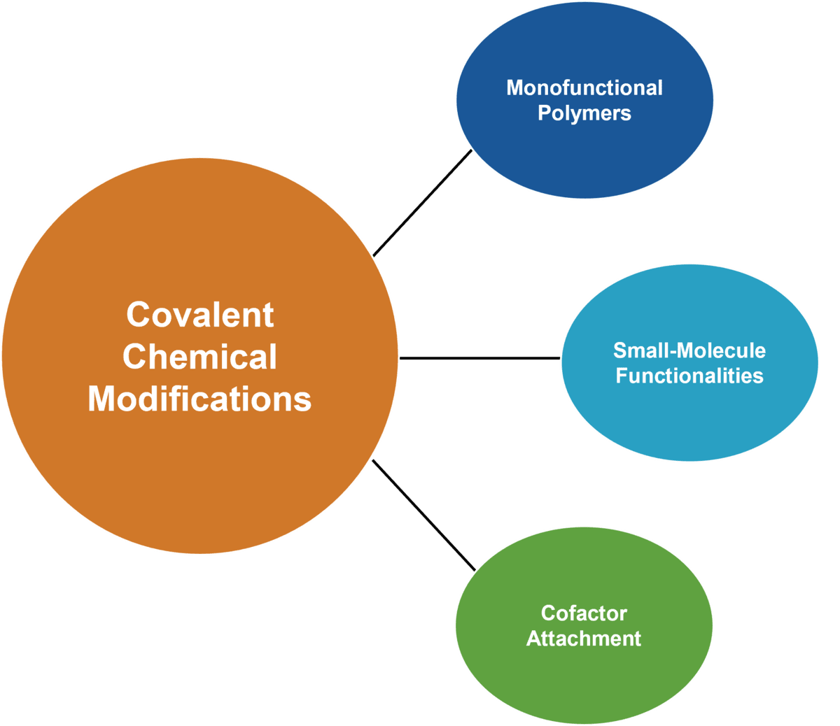 Verfügbare kovalente chemische Modifikationen: monofunktionelle Polymere, niedermolekulare Funktionalitäten und Kofaktor-Anbindung