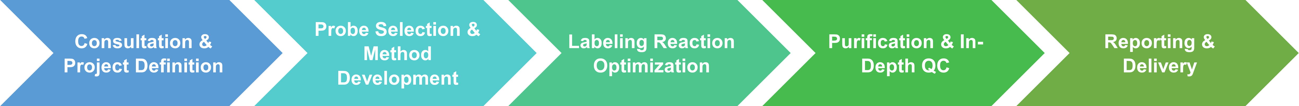 Workflow of enzyme active-site probe labeling service