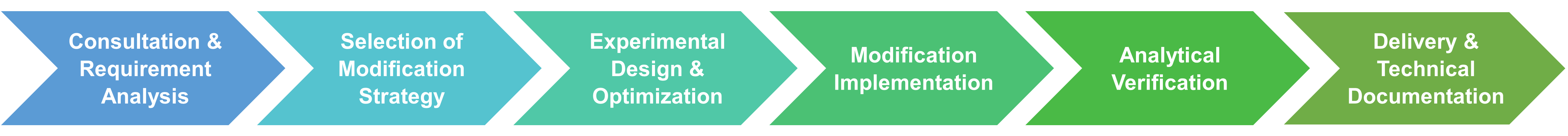 Service-Workflow der Enzymmodifikation