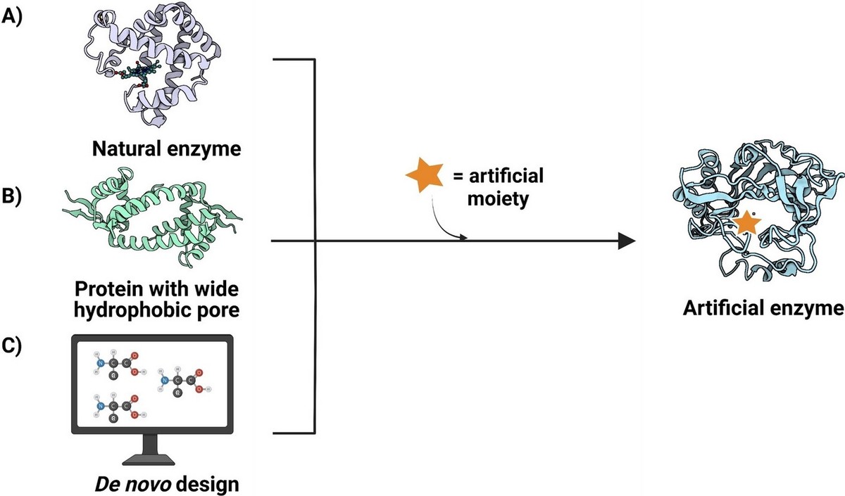 Strategies for synzyme design