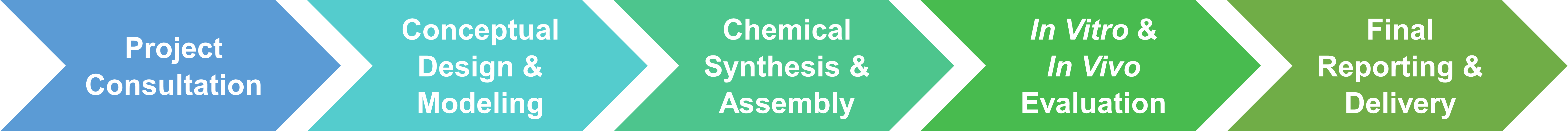 Workflow der Synzyme-Entwicklungsservices