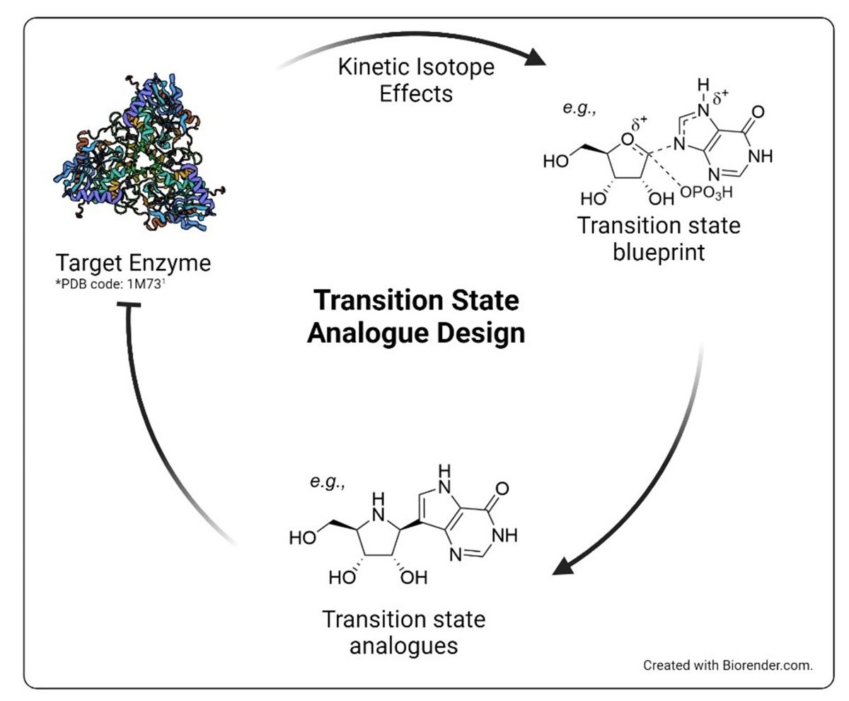 Illustration of transition-state analogue design