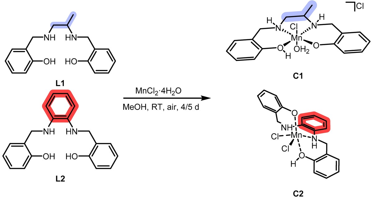 Cytotoxic Ros-consuming Mn(III) synzymes: structural influence on their mechanism of action