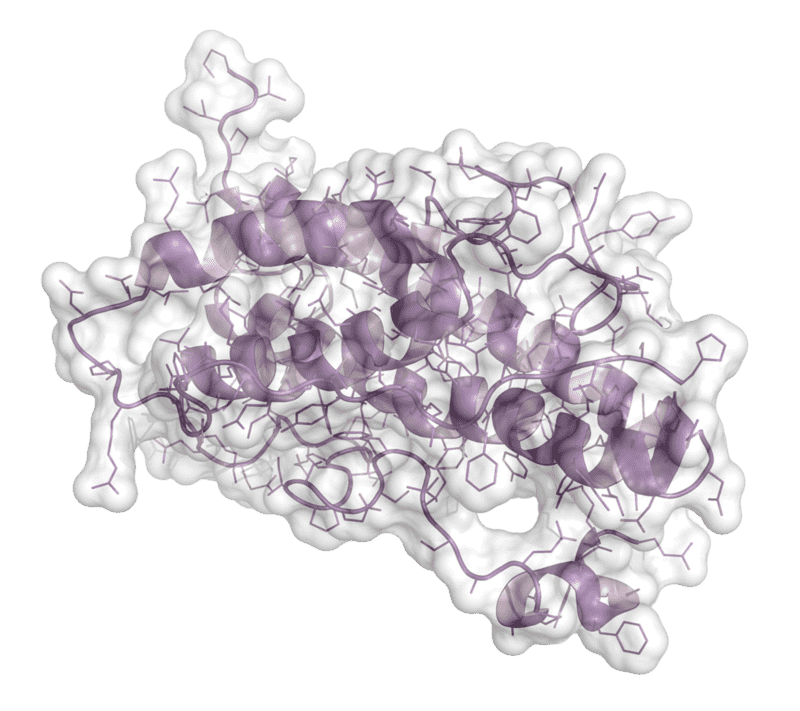 Dienstleistungen für Enzym-Engineering und -Modifikation bei Creative Enzymes