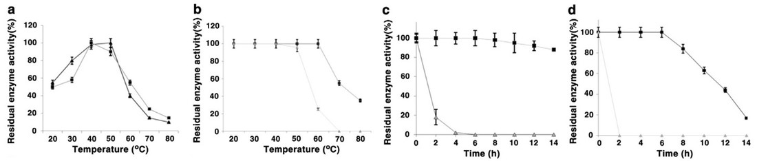 Engineering einer aus einem Metagenom abgeleiteten Lipase in Richtung Thermotoleranz: Effekt einer Asparagin-zu-Lysin-Mutation auf der Proteinoberfläche