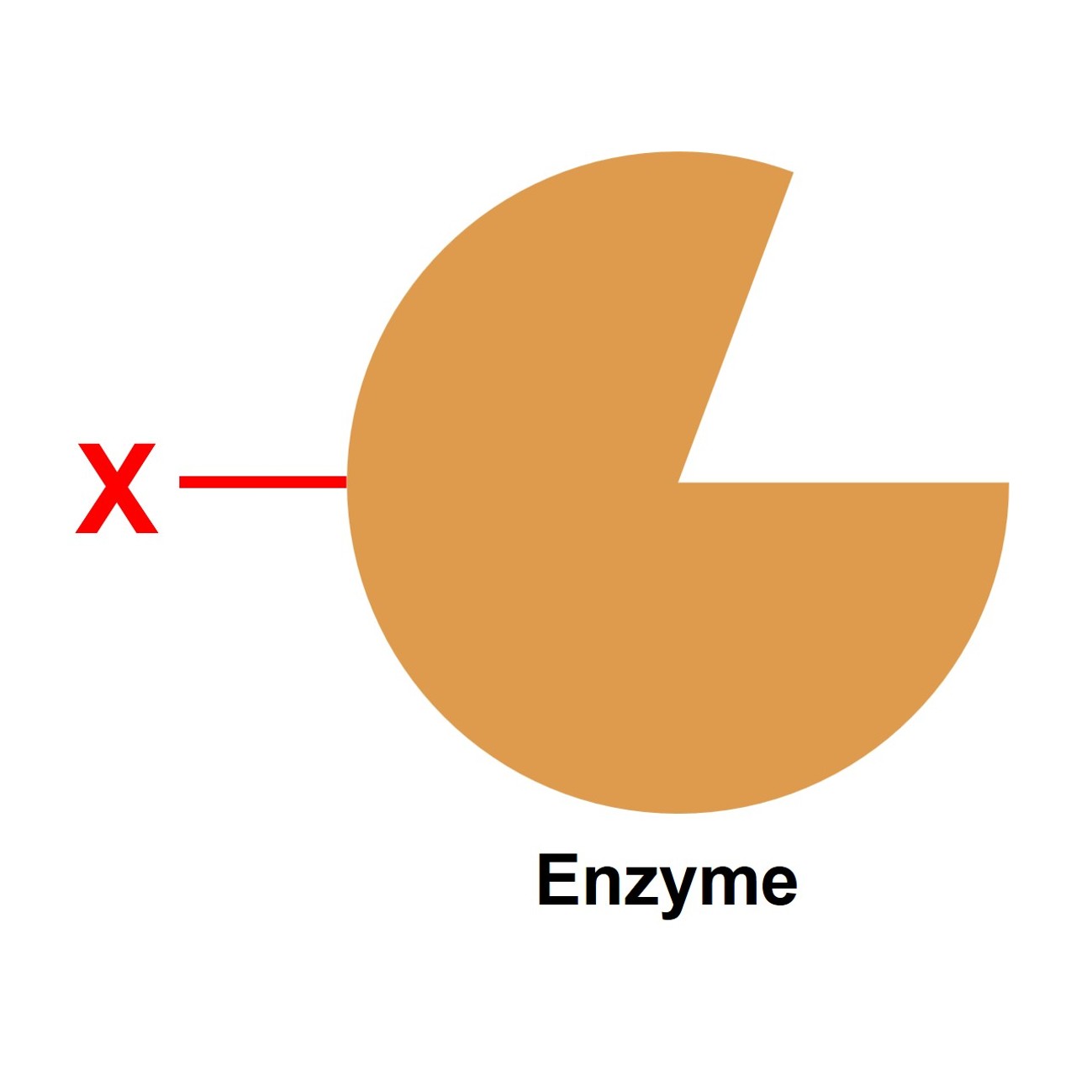 Enzyme attached with small functional groups