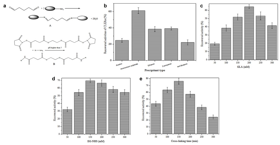 Cross-Linked Enzyme Aggregates (CLEAs) der Lipase aus Pencilluim notatum mit verbesserter Aktivität, Stabilität und Wiederverwendbarkeit