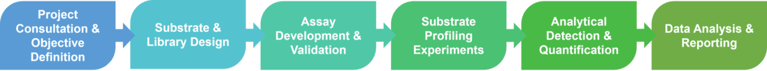 Workflow of biocatalyst substrate profiling service