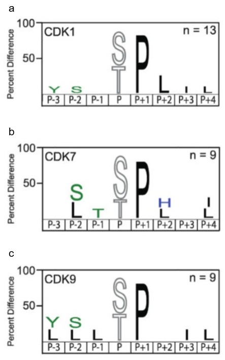 Depiction of the MSP-MS assay for kinases
