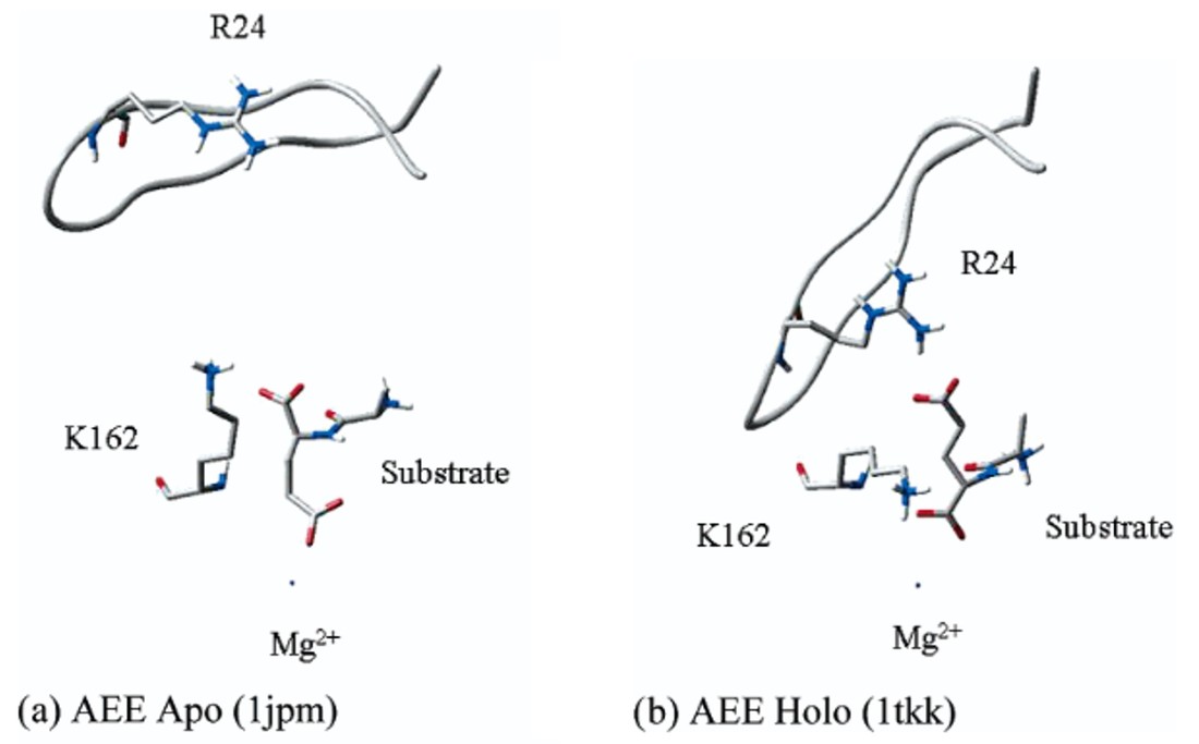 Virtual screening against highly charged active sites: identifying substrates of alpha−beta barrel enzymes