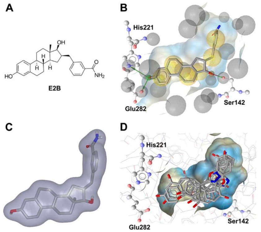 Computational techniques support the identification of novel short-chain dehydrogenase/reductase bioactive molecules