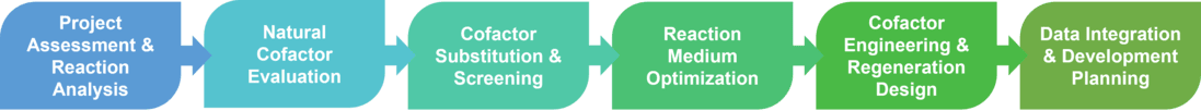 Service-Workflow zur Auswahl und Modifikation von Kofaktoren für die Biokatalyse