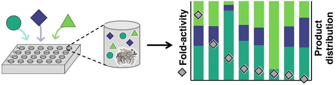 Biocatalyst substrate selection