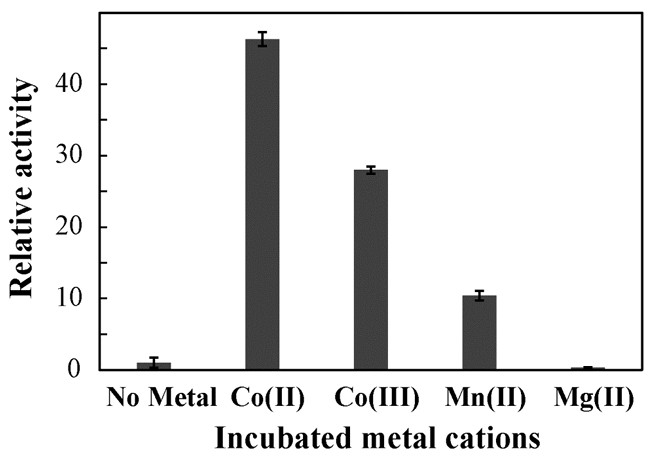 Enhanced direct ethanol production by cofactor optimization of cell surface‐displayed xylose isomerase in yeast
