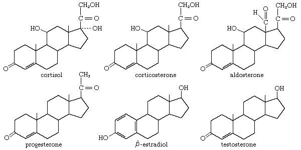 Beispiele für Steroide und Terpene: Cortisol, Corticosteron, Aldosteron, Progesteron, Beta-Estradiol und Testosteron.