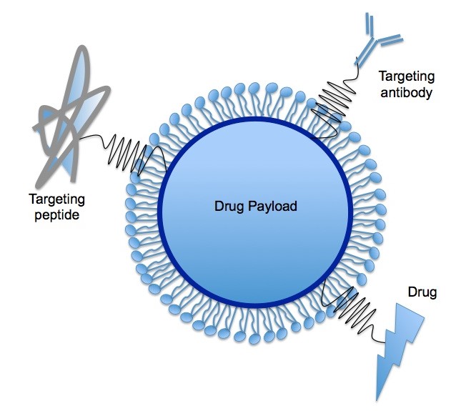 Diagramm eines festen Lipidnanopartikels, Monolayer von Phospholipid, das einen festen Arzneimittelträger umschließt.