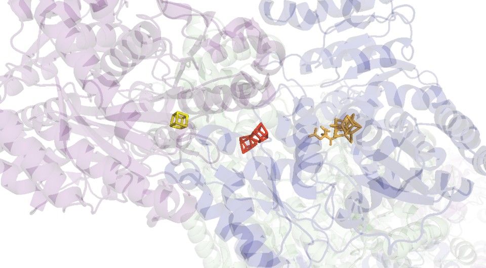 Cartoon nitrogenase with active site magnified