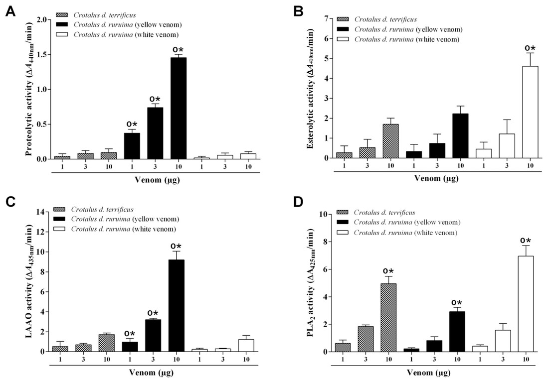 Enzymatische Aktivitäten von Crotalus durissus (CDT, CDRy und CDRw) Giften