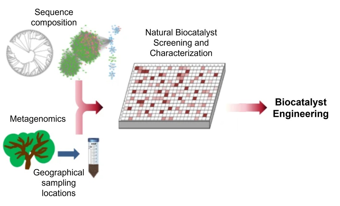Probenahme und Screening natürlicher Biokatalysatoren