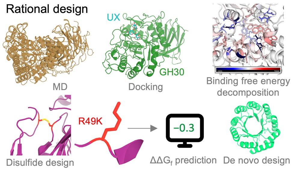 Rational biocatalyst design approaches