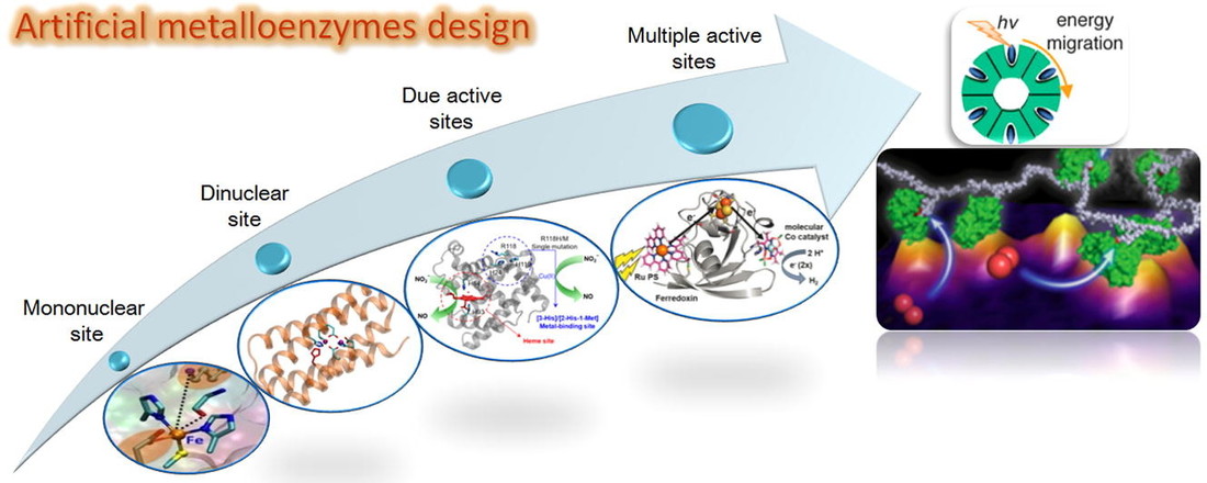 Rational design of metalloenzymes: From single to multiple active sites
