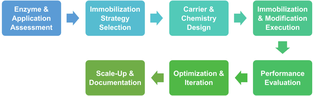 Workflow of biocatalyst immobilization and modification services