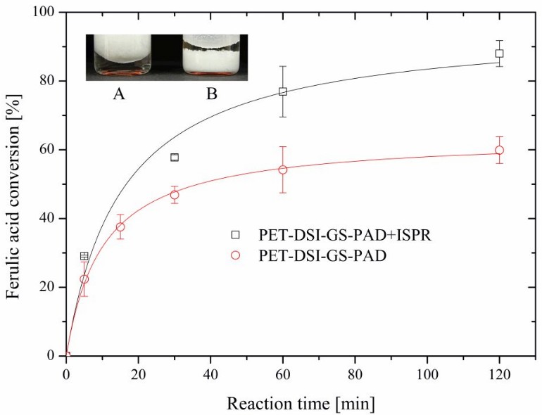 Biocatalyst immobilization by anchor peptides on an additively manufacturable material