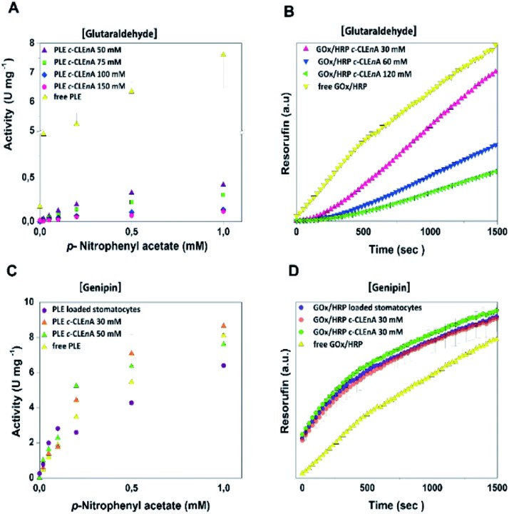 Compartmentalized cross-linked enzymatic nano-aggregates (c-CLEnA) for efficient in-flow biocatalysis