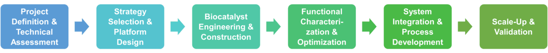 Workflow der Dienstleistung im Biokatalysator-Engineering