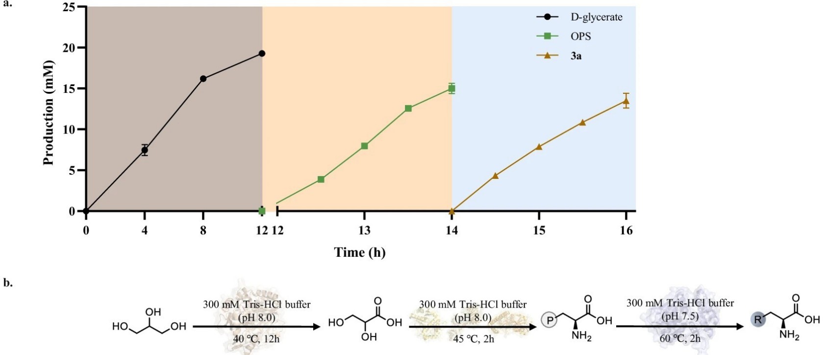 Modulare Multi-Enzym-Kaskaden ermöglichen eine grüne und nachhaltige Synthese nicht-kanonischer Aminosäuren aus Glycerol