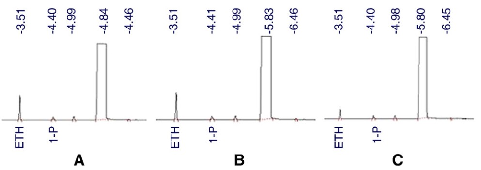 Optimization of metabolic pathways for bioconversion of lignocellulose to ethanol through genetic engineering