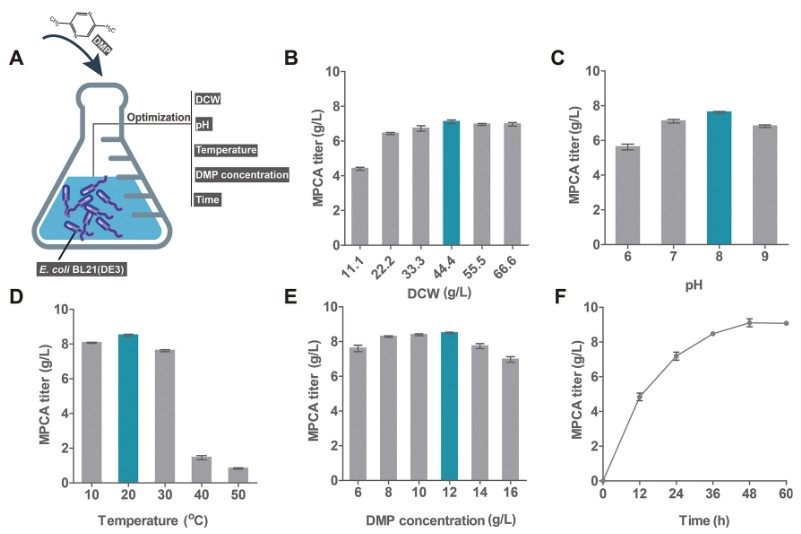 High-yield and plasmid-free biocatalytic production of 5-methylpyrazine-2-carboxylic acid by combinatorial genetic elements engineering and genome engineering of Escherichia coli
