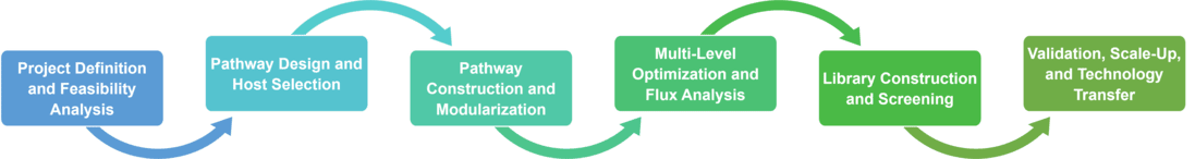 Service-Workflow des Metabolic Pathway Engineering für die Biokatalyse