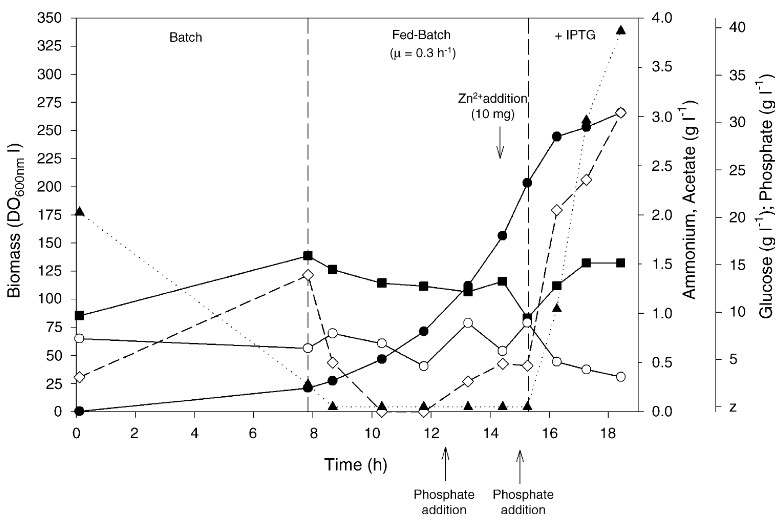 Einfluss von Induktion und Betriebsmodus auf die Produktion rekombinanter Rhamnulose-1-phosphat-Aldolase durch Escherichia coli unter Verwendung des T5-Promotors