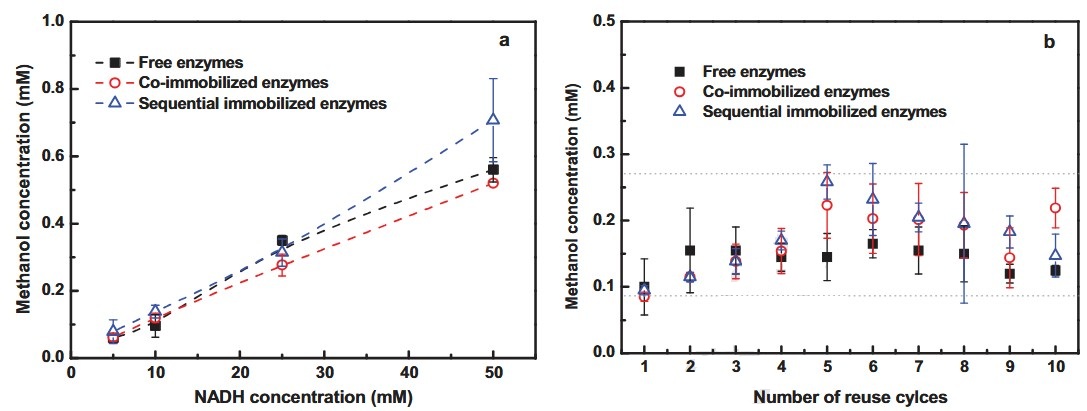 Bewertung eines enzymatischen Membranreaktors (EMR) mit freien und immobilisierten Enzymen