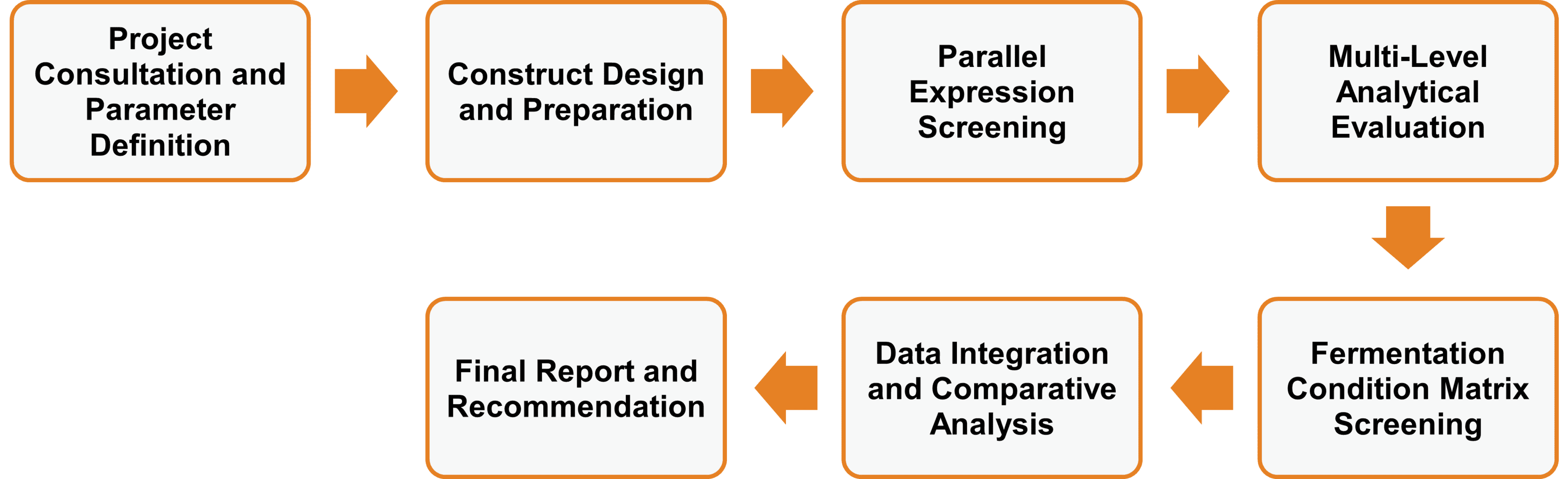 Workflow der Dienstleistungen zur Evaluierung und Optimierung der Enzymexpression