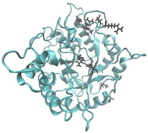 Struktur einer psychrophilen Mannanase, eines instabilen Enzyms