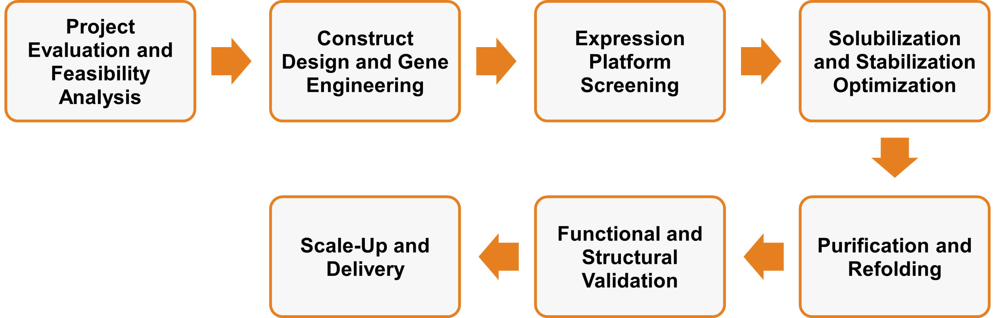 Workflow der Expressionsservices für Membran- und periphere Enzyme