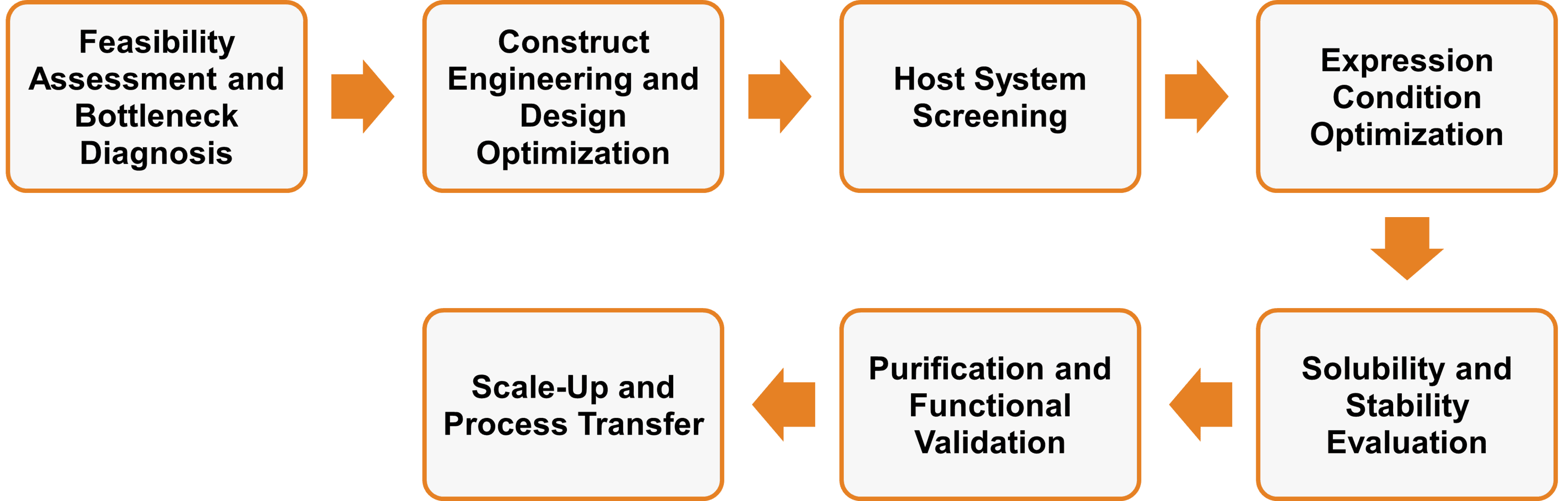 Workflow des Expressionsservices für schwer exprimierbare Enzyme