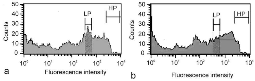 Expression rekombinanter zytoplasmatischer Hefe-Pyruvatcarboxylase zur Verbesserung der Produktion von humanem Erythropoietin durch rekombinante BHK-21-Zellen