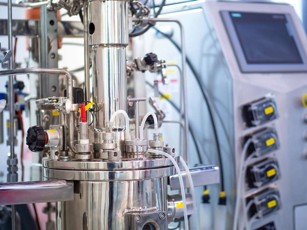 Enzyme production scale-up and manufacturing support