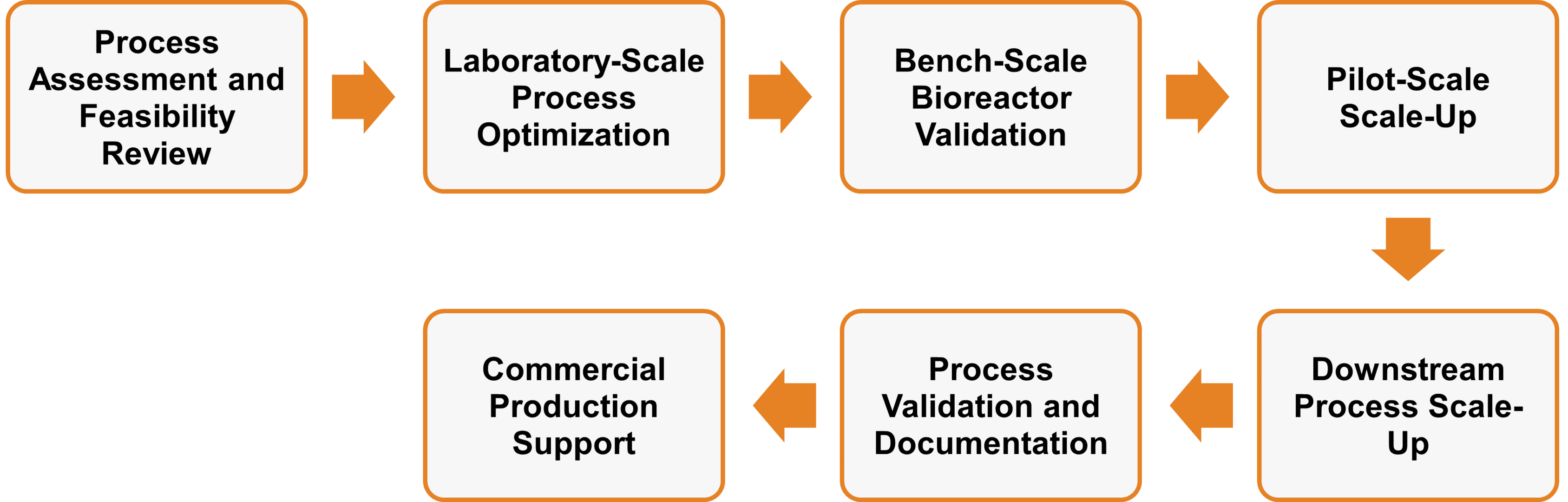 Service workflow of enzyme production scale-up