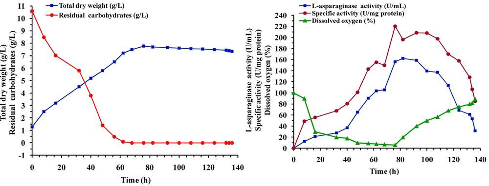Process development for scale-up production of a therapeutic L-asparaginase by Streptomyces brollosae NEAE-115 from shake flasks to bioreactor