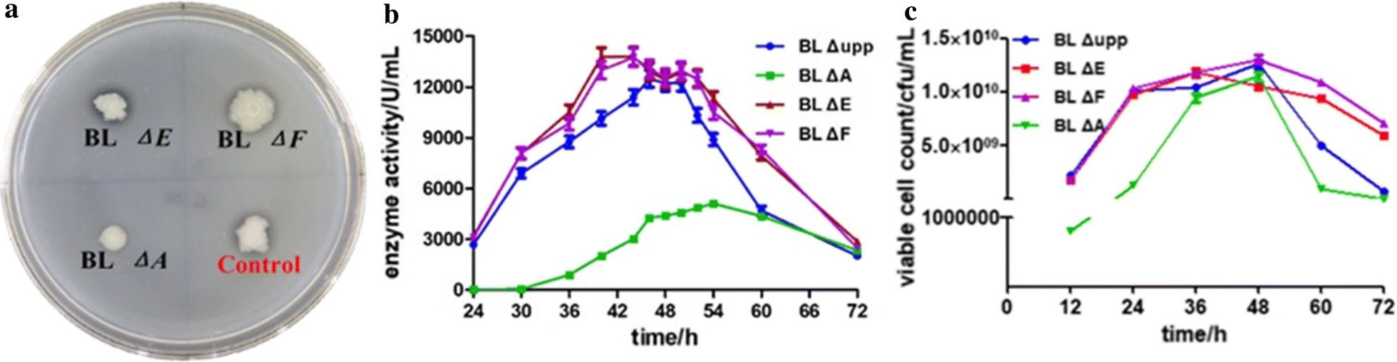 Optimierung der alkalischen Proteaseproduktion durch gezielte Deletion sporulationsbezogener Gene in Bacillus licheniformis