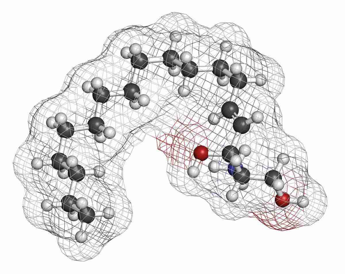 3D-Rendering-Modell des Sphingosin-Lipidmoleküls.